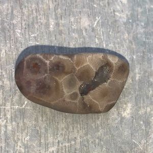 Petoskey stone